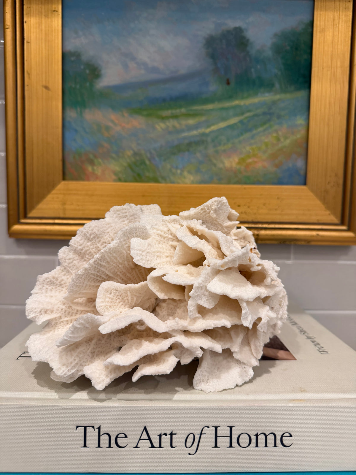 White Coral