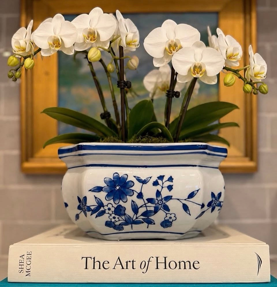 Blue and White Cachepot