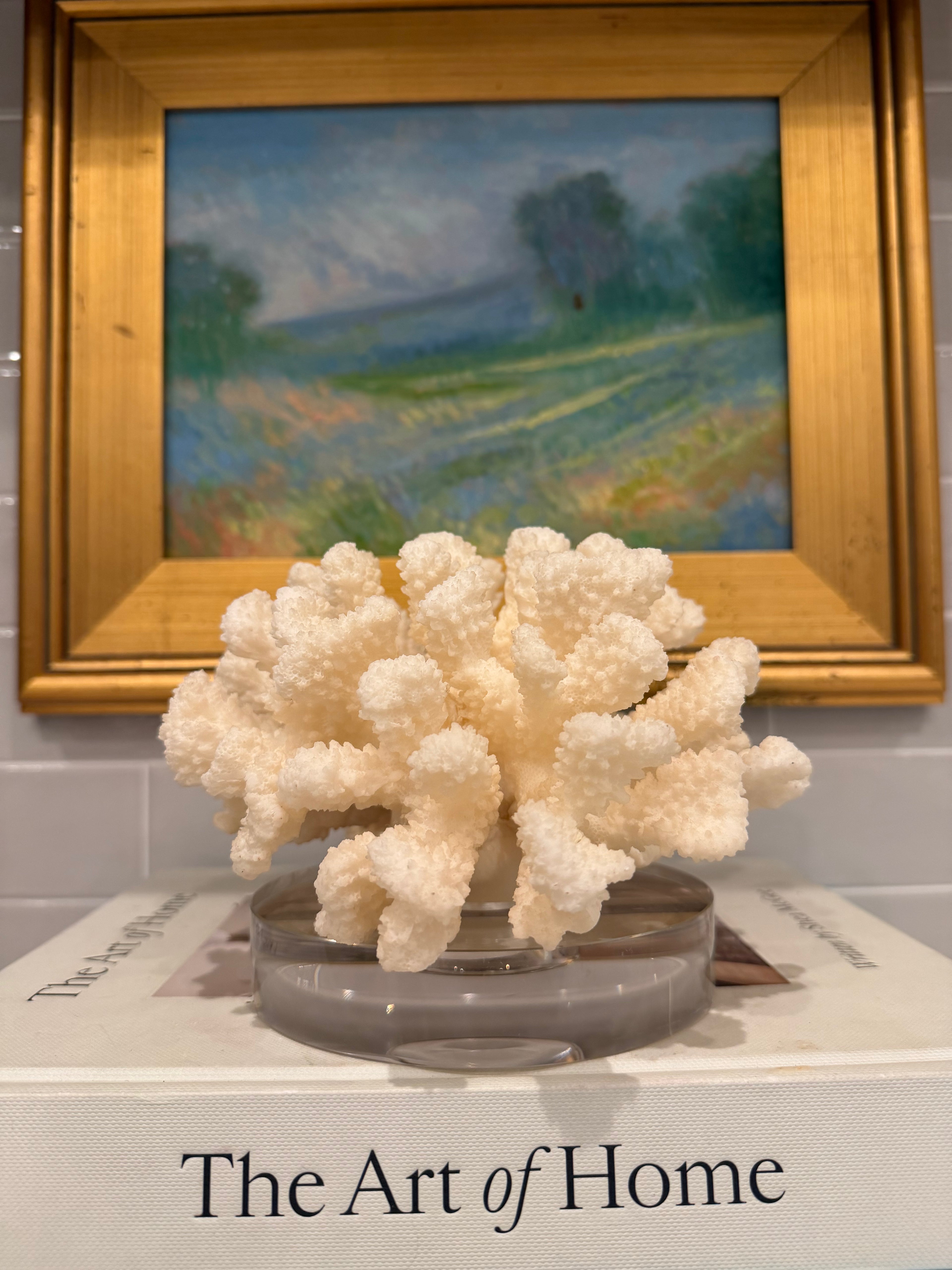 White Coral with Glass Base